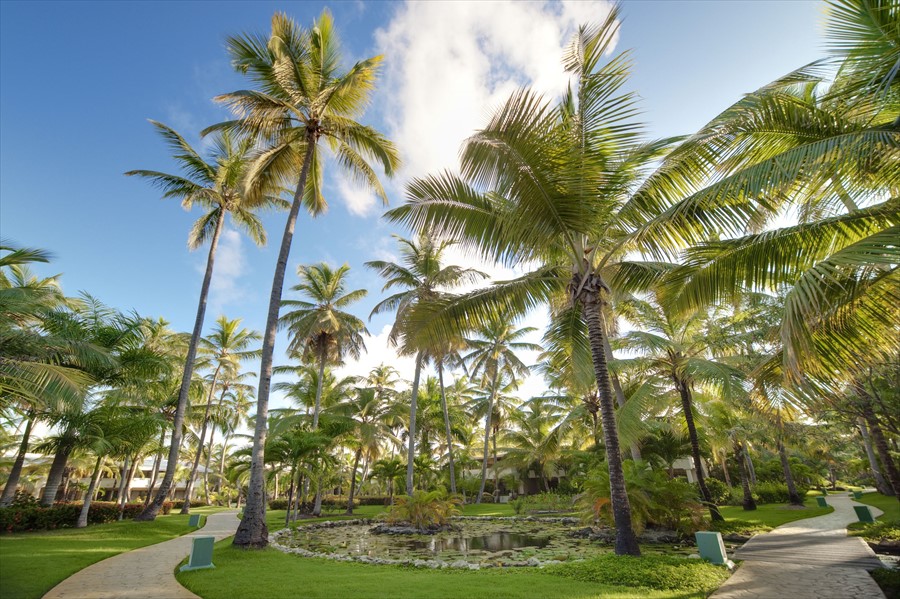Meliá Caribe Tropical All Inclusive Beach & Golf Resort 60