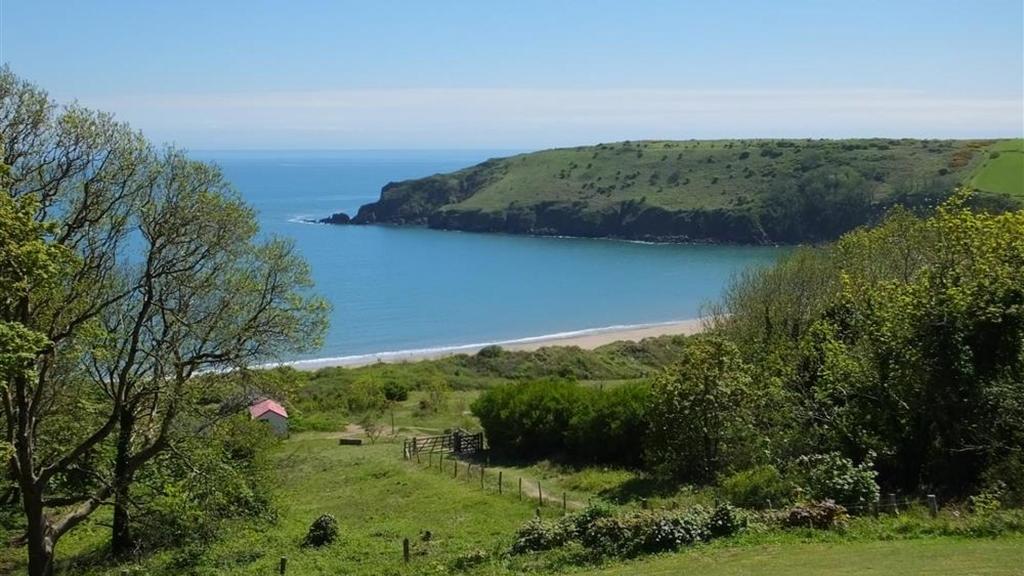 Devon Court 20 1