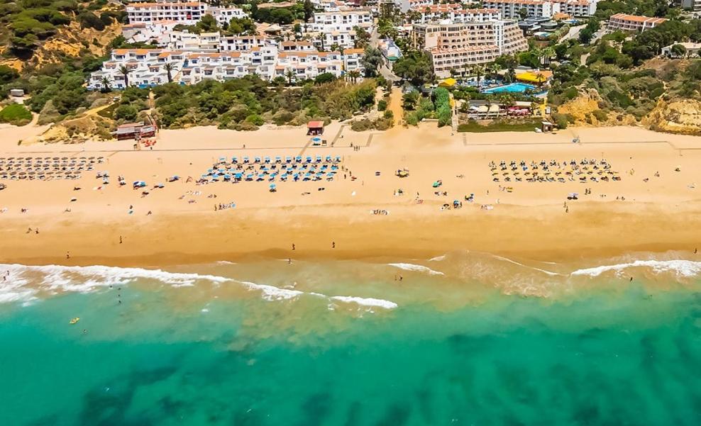 Club Albufeira 32