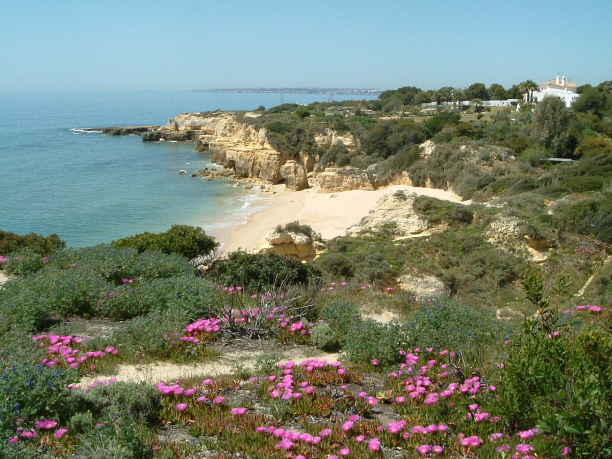 Club Albufeira 34