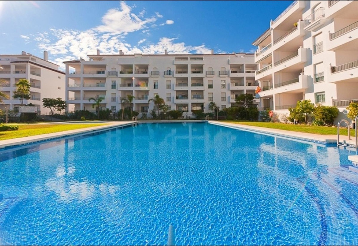 Miraflores Rancho 8