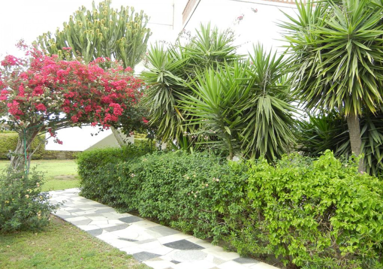 Club Pyla Beach Resort 33
