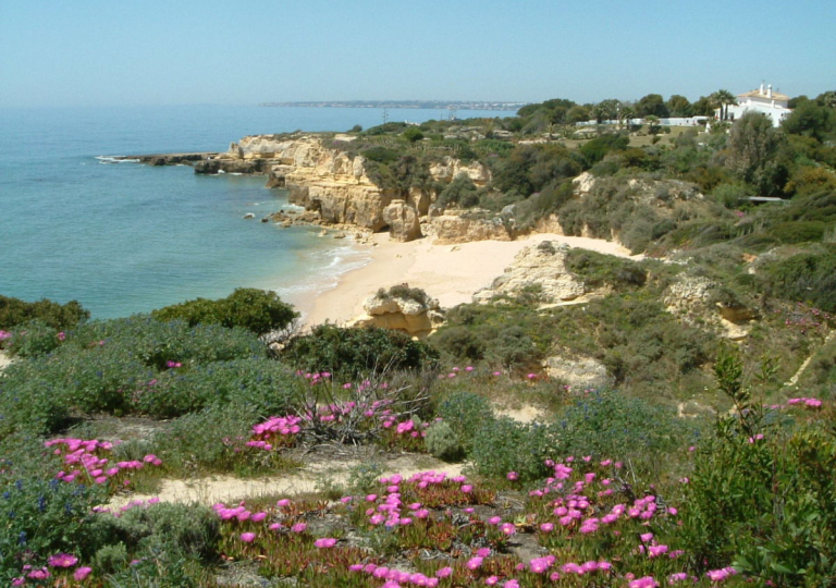 Club Albufeira 34