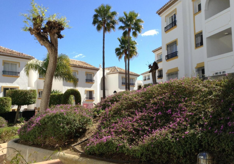 Miraflores Rancho 4